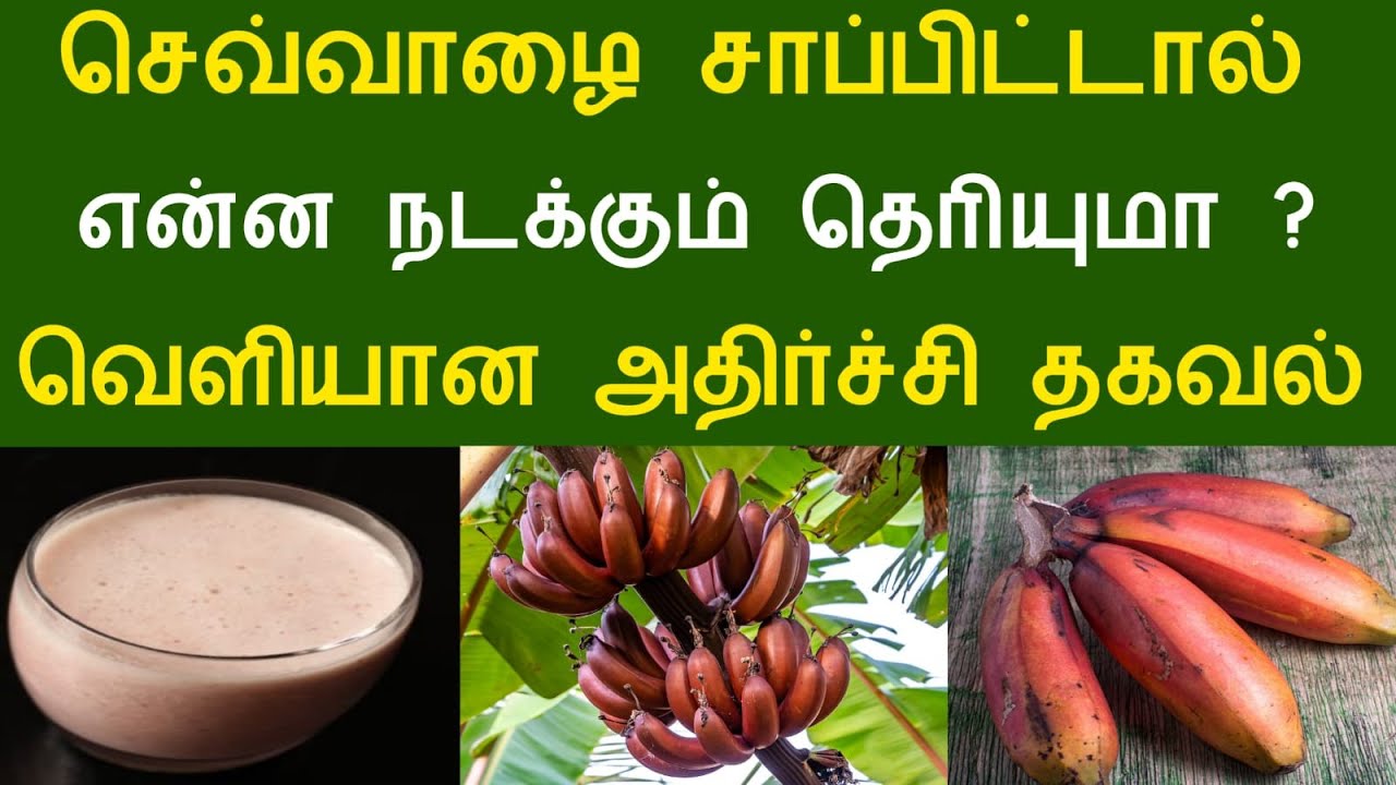 செவ்வாழை சாப்பிட்டால் என்ன நடக்கும் தெரியுமா ? வெளியான அதிர்ச்சி தகவல் ! #aramjothidam #healthyfood