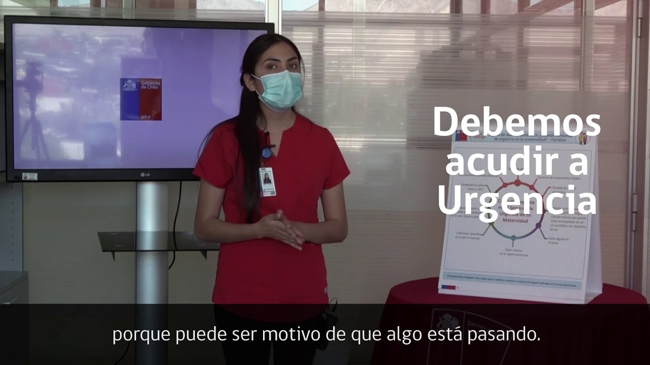 Embarazadas: &iquest; En qu&eacute; momento debo ir al Servicio de Urgencia?