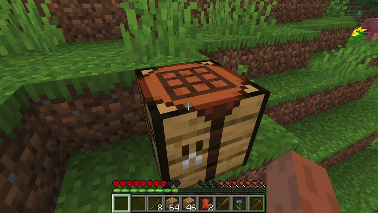 Minecraft hardcore