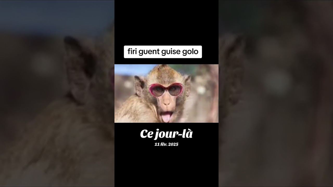 Firi guent guise golo