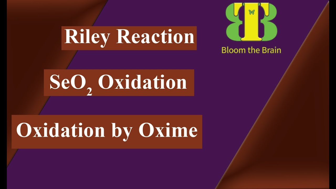 Oxidation of Activated C-H Bond l Riley Reaction l Bloom the Brain