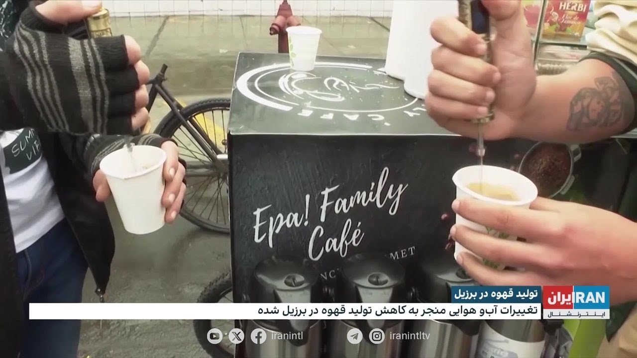 تولید قهوه در برزیل