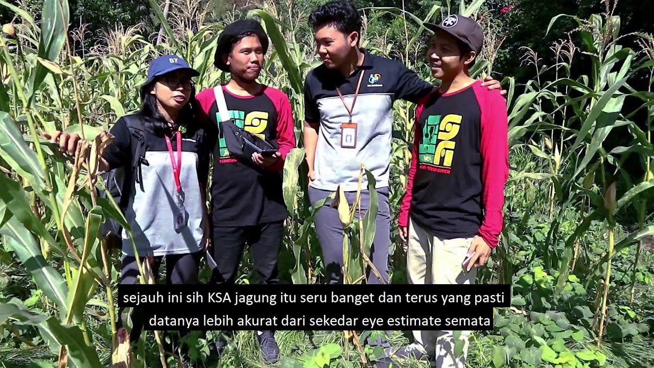 K'VLOG 16 - KSA Jagung, apa sih?