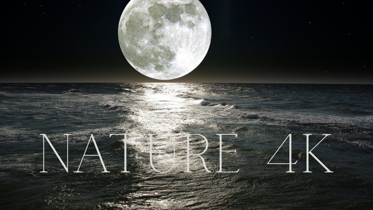 Ambient Music with Beautiful Nature in 4K • Relaxing, Sleeping, Meditation, Study, Yoga