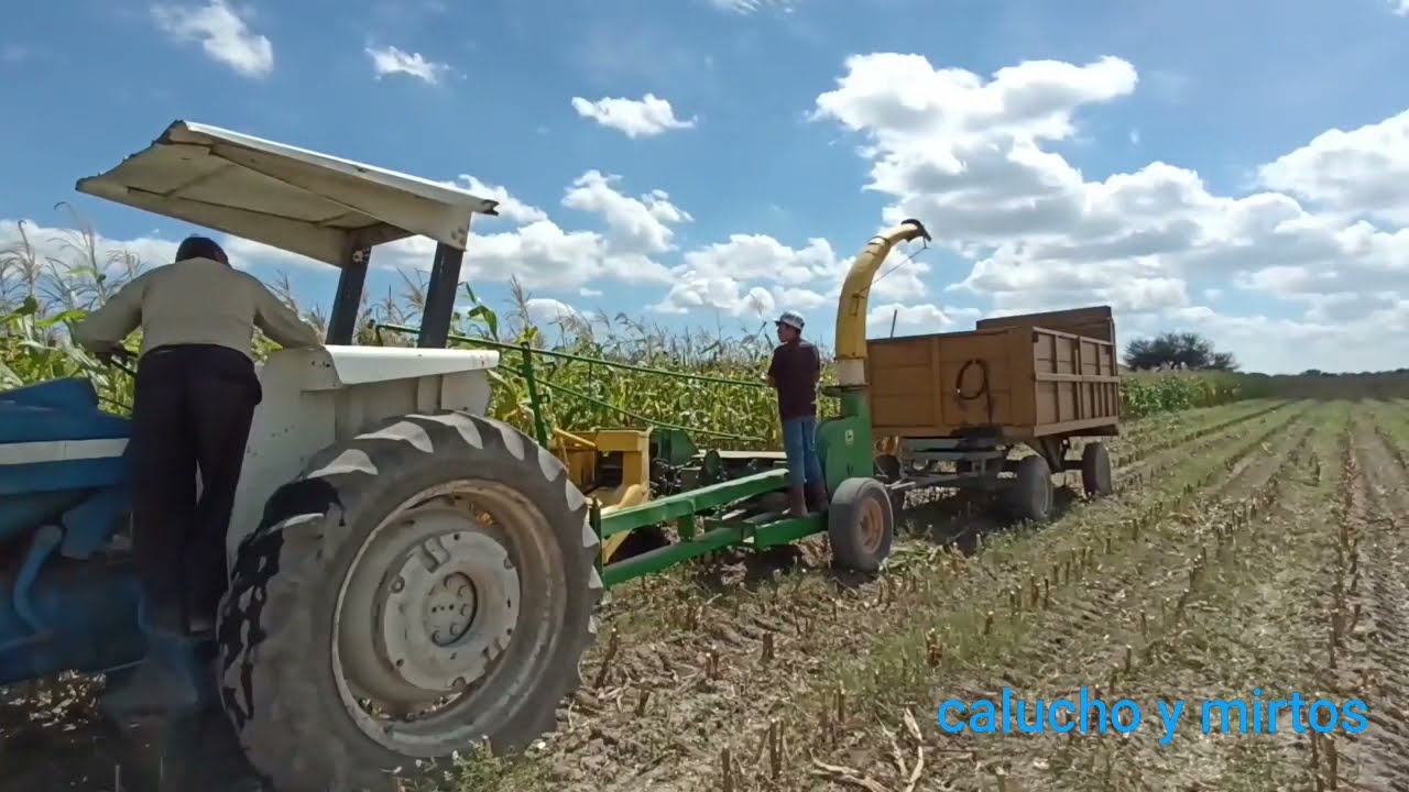Así es como se hace el SILO parte 1