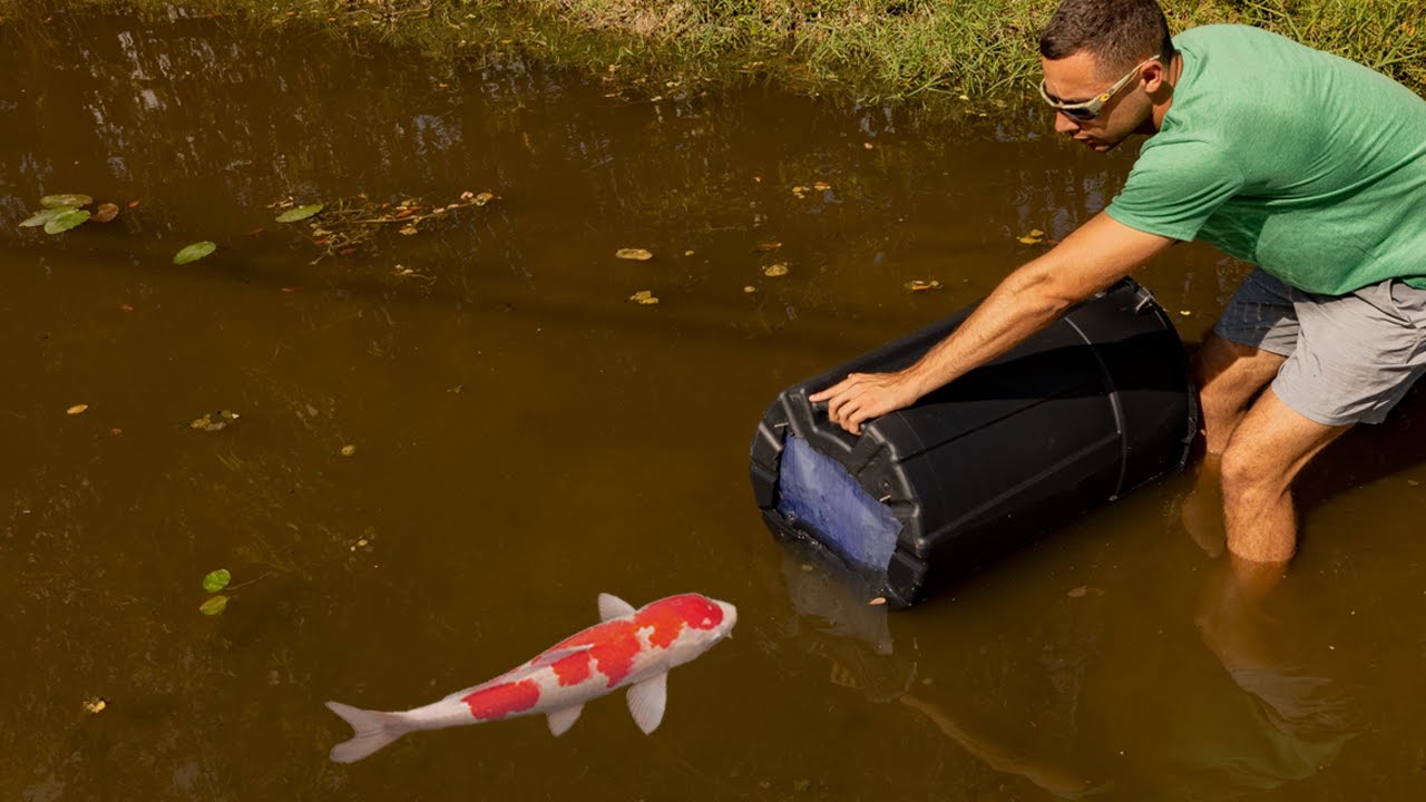 FISH TRAP CATCHES POND MONSTER