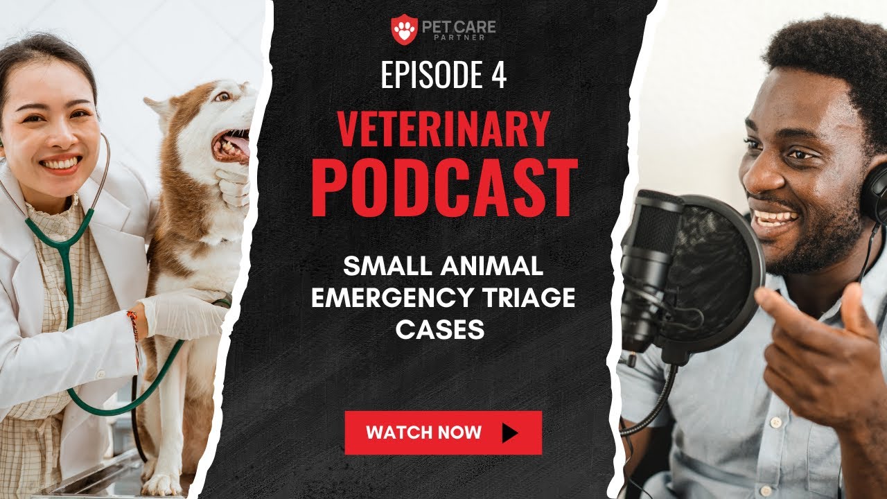 EP04 - Small Animal Emergency Triage Cases: Fast Action Tips | Pet Care Partners