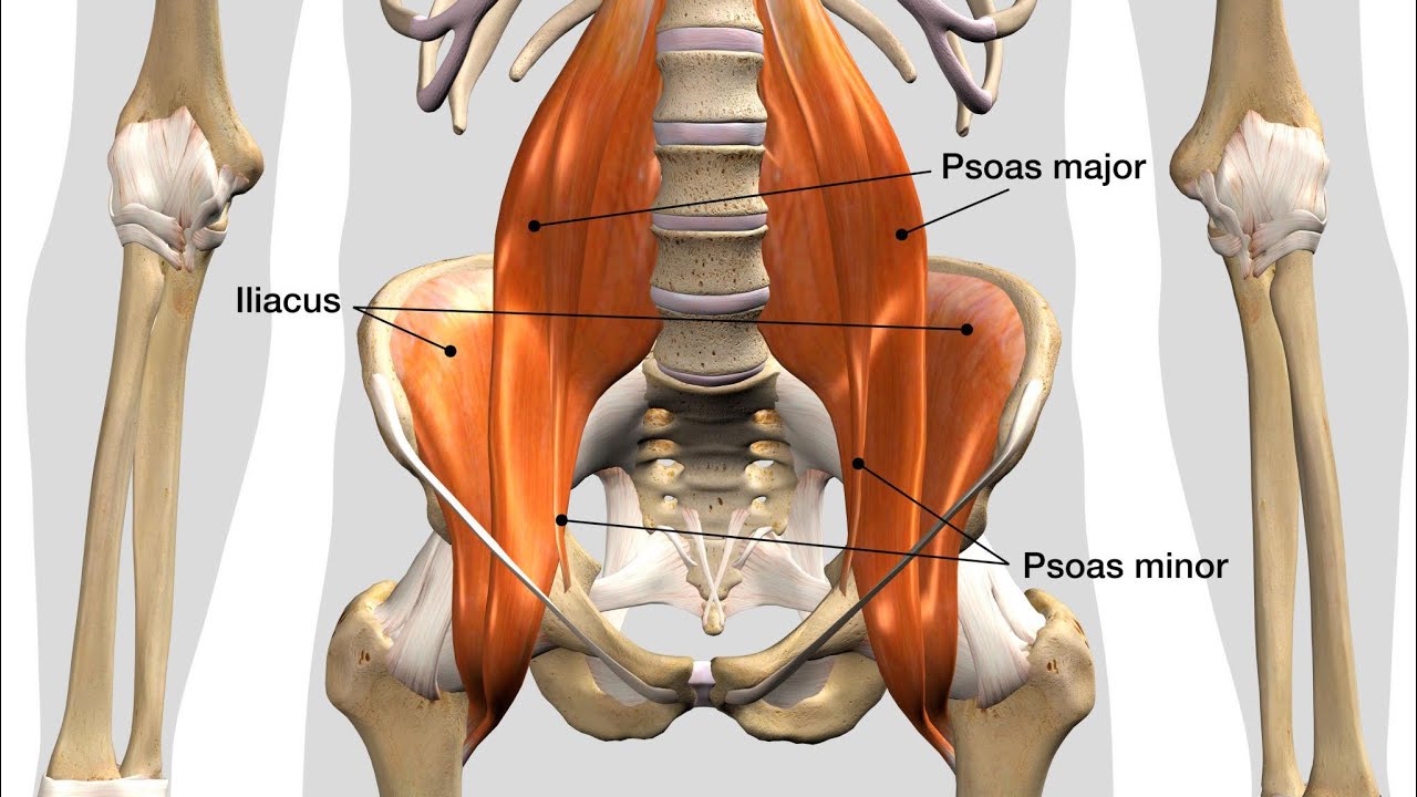 Why I chase FUNCTION and not PAIN. 