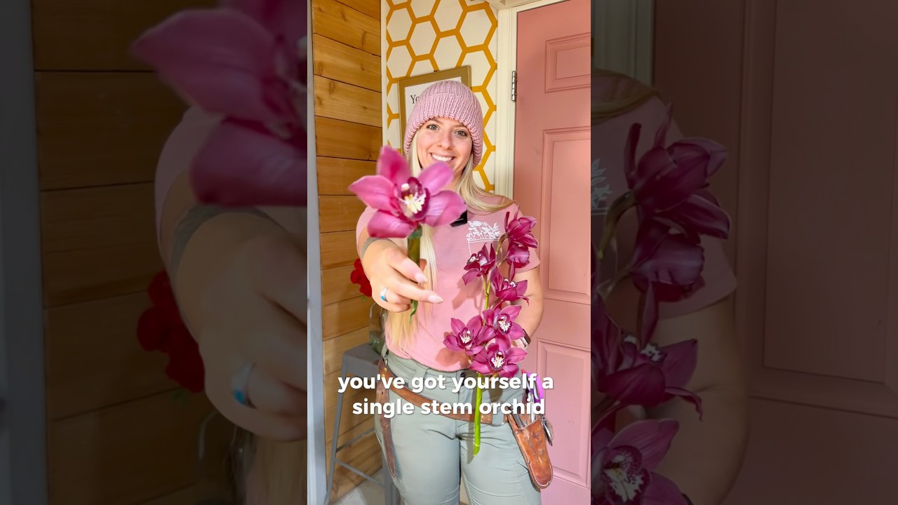 Orchids as a Cut flower!! Tips & Tricks 🤟🔥 #orchids #florist #weddingflowers #farmingflorist