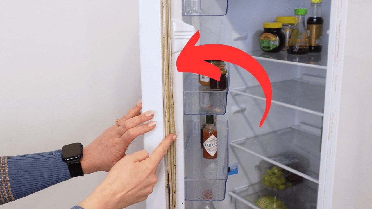 Deep Clean Hack: Removing mold and yellow stains on fridge door seal easily