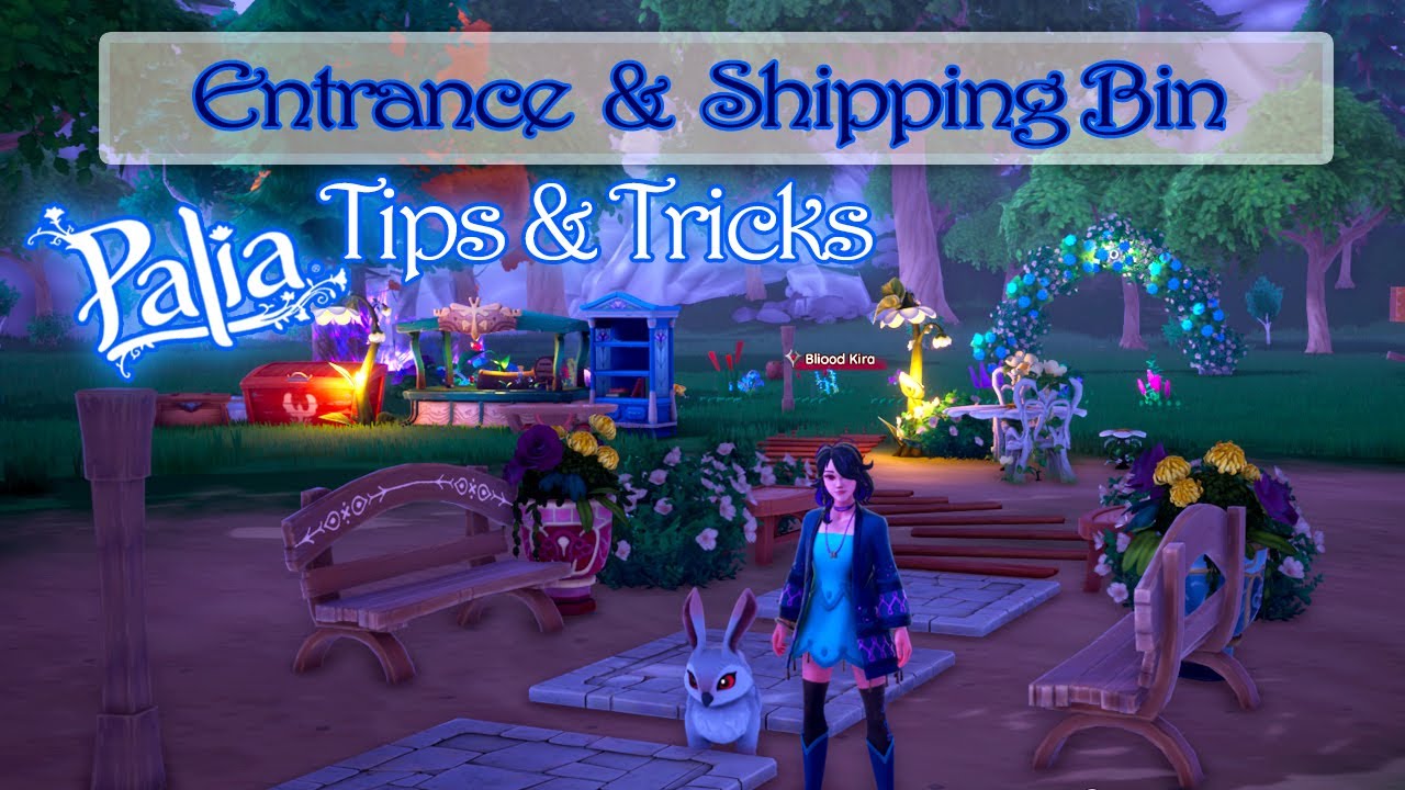 Shipping Bin & Entrance, Palia Tips & Tricks