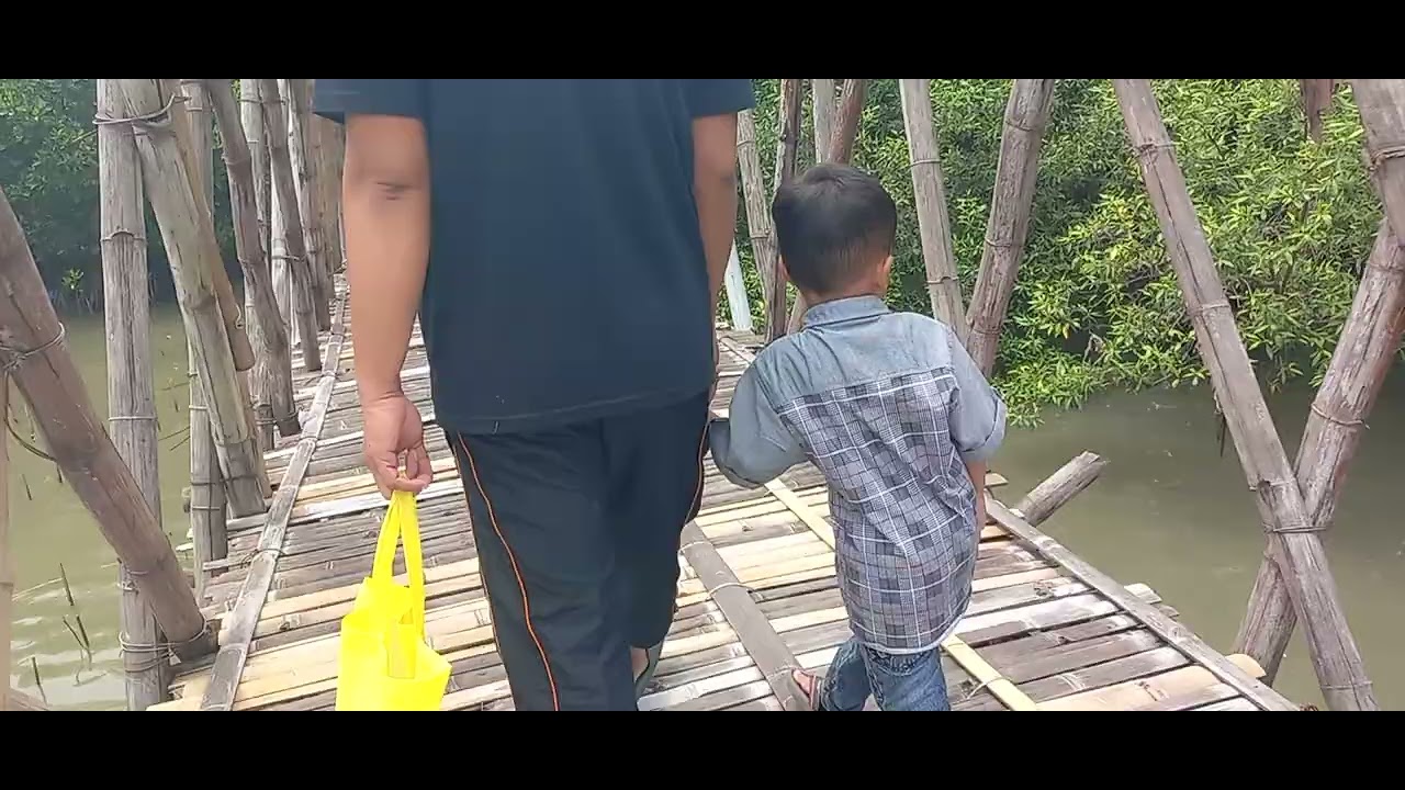 Wisata Mangrove Wonorejo surabaya