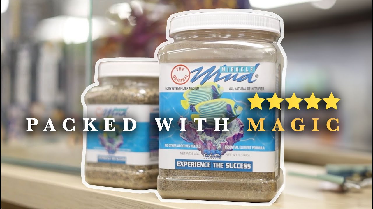 Introducing Miracle Mud |  the most ECONOMICAL filter substrate to use to remove nitrate