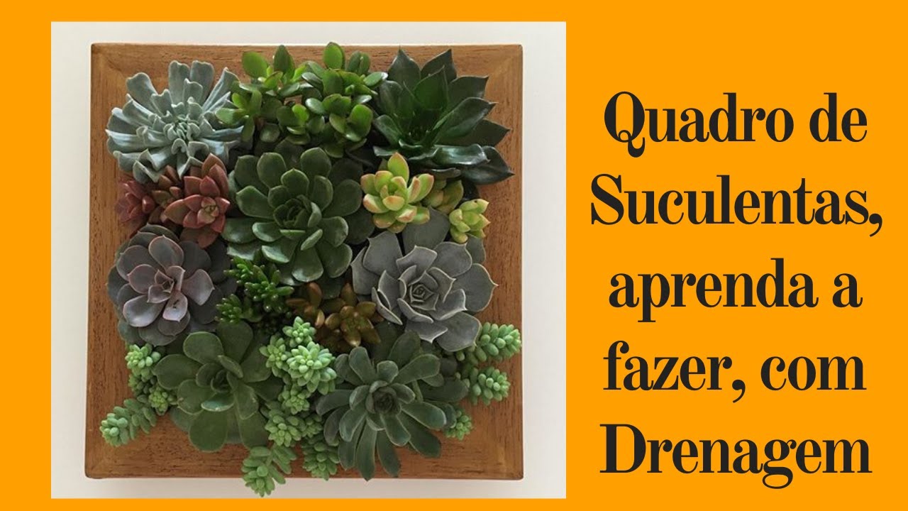 Quadro de Suculentas, aprenda a fazer com drenagem.