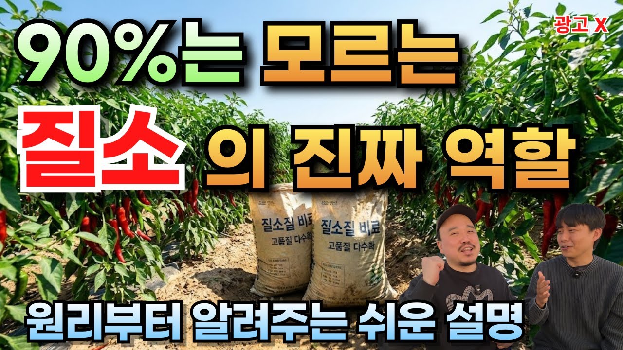 90%는 모르는 질소 비료의 진짜 역할,  이것만 알아도 비료값 반으로 줄고 수확량은 2배 됩니다 | 비료 전문가가 알려주는 질소비료 1편