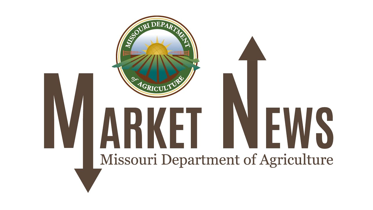 Daily Market Report Jan 15, 2026