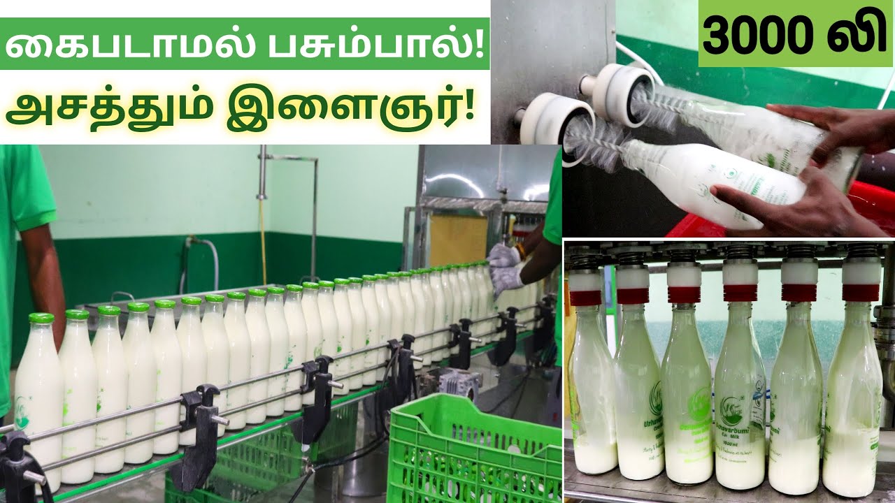 கிராமங்களிலிருந்து நேரடியாக சென்னைக்கு | தினம் 3000 லி பால் அனுப்பும் இளைஞர்! - UzhavarBumi Milk