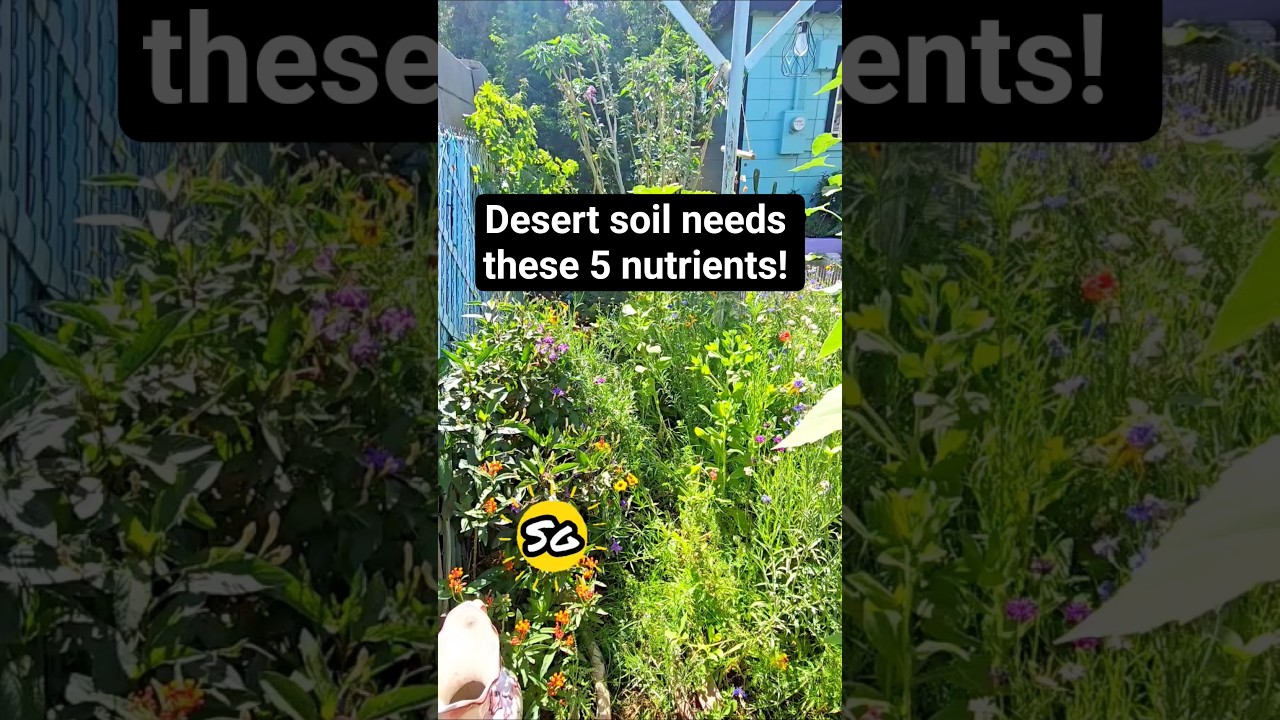 5 nutrients that your desert soil needs #desertgarden #soilquality