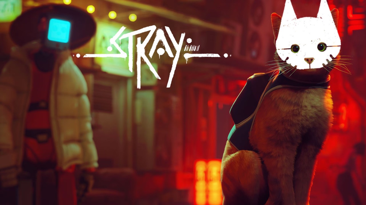 Stray - Moi vouloir être chat.
