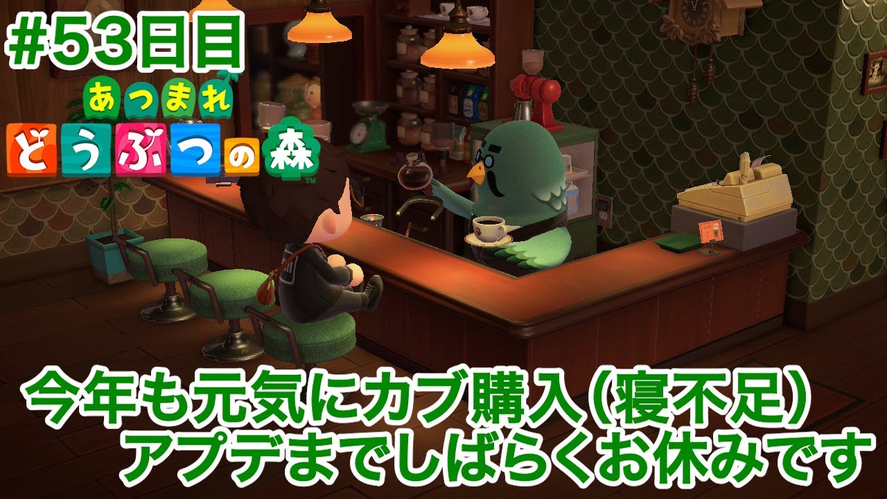 今年もやりますニチアサカブ購入。あつまれどうぶつの森#53