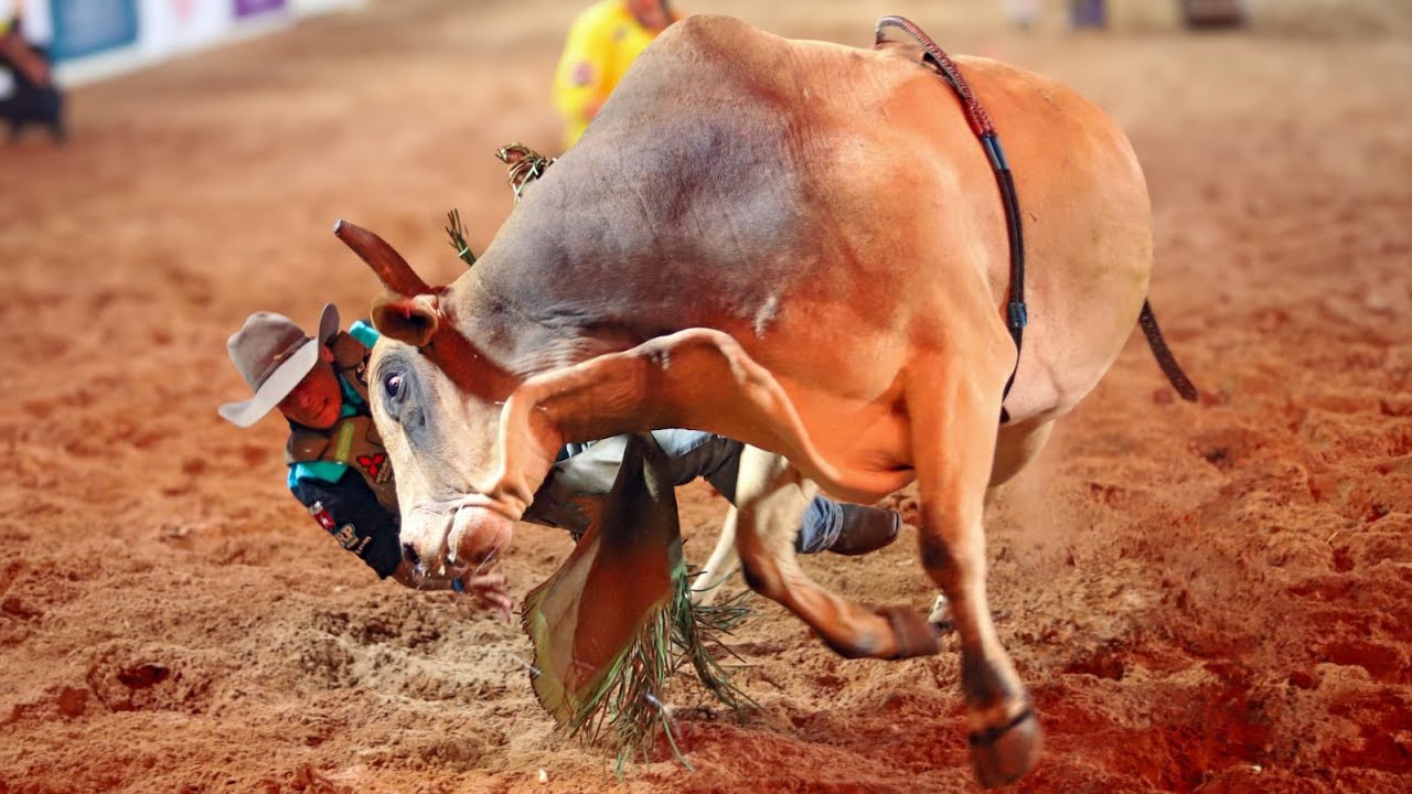 Rodeio de POMPEIA 2025 / FINAL COPA FERRO EM BRASA (QUINTA / MELHORES MOMENTOS)