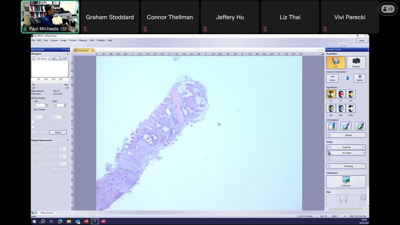 Virtual Pathology Slide Session (10/25/24) with Dr. Paul Michaels