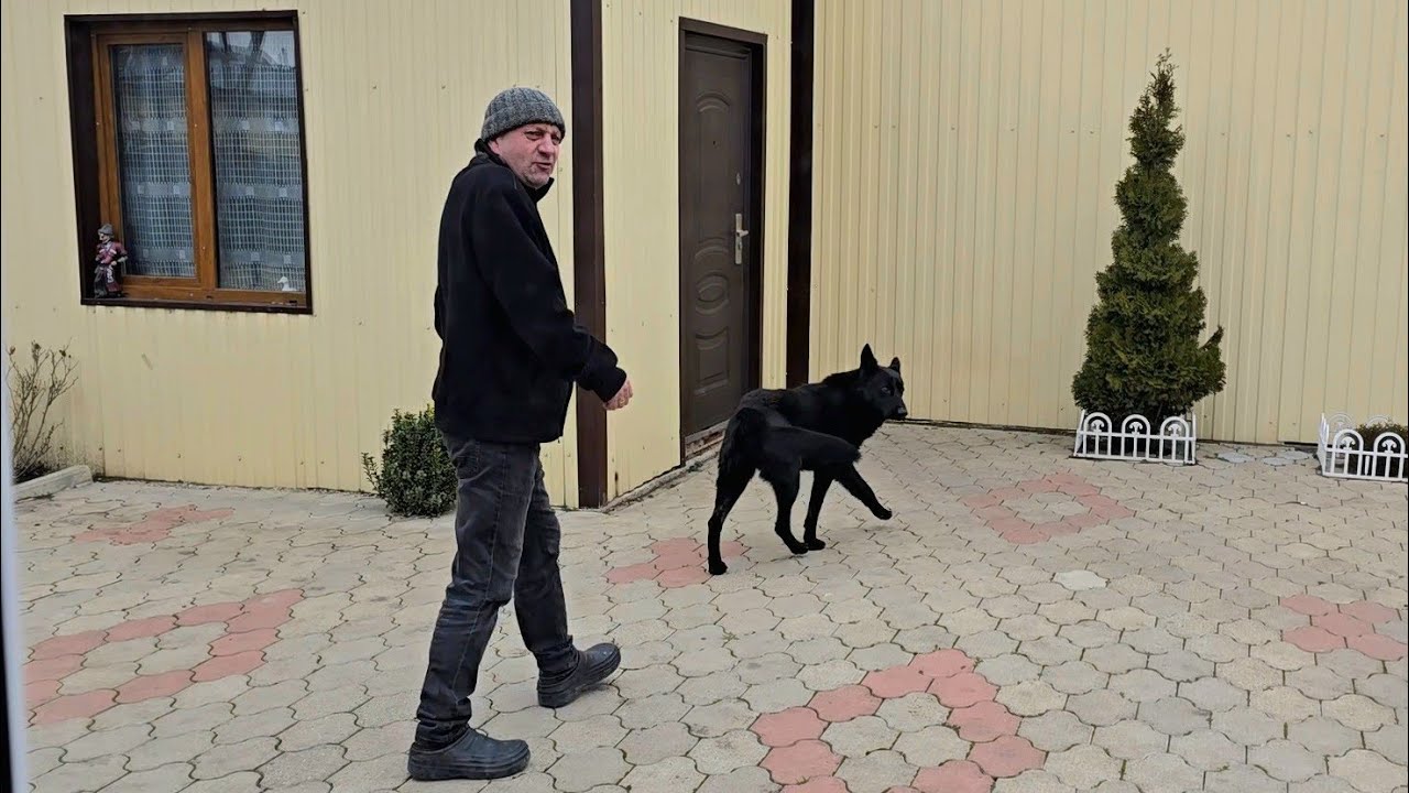 ✨️Бездельничаем✨️ Грачи прилетели✨️ Никогда не вязала такой пряжей✨️