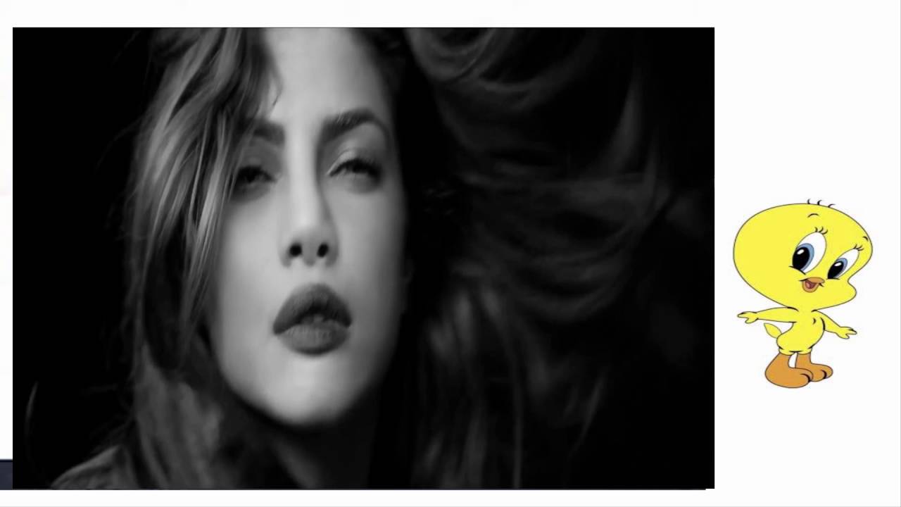 Test File : Blenders Pride Fashion Tour 2016 featuring Priyanka Chopra