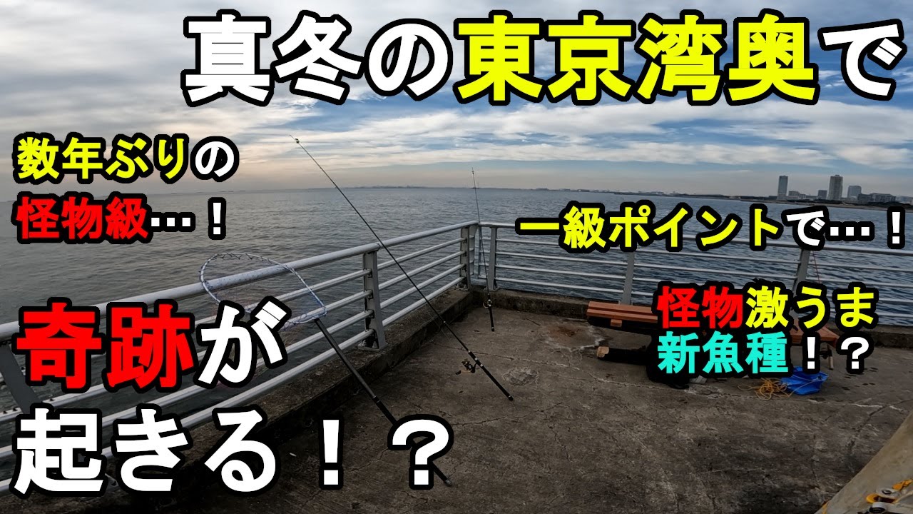 【千葉県某所】真冬の東京湾奥で奇跡が起きる！？年明けの厳寒期に、関東地方の東京湾側に面している沖まで突き出た長い堤防がある釣り場で、とある魚を狙って数日間釣りしてみたら…！【2024年1月中旬】