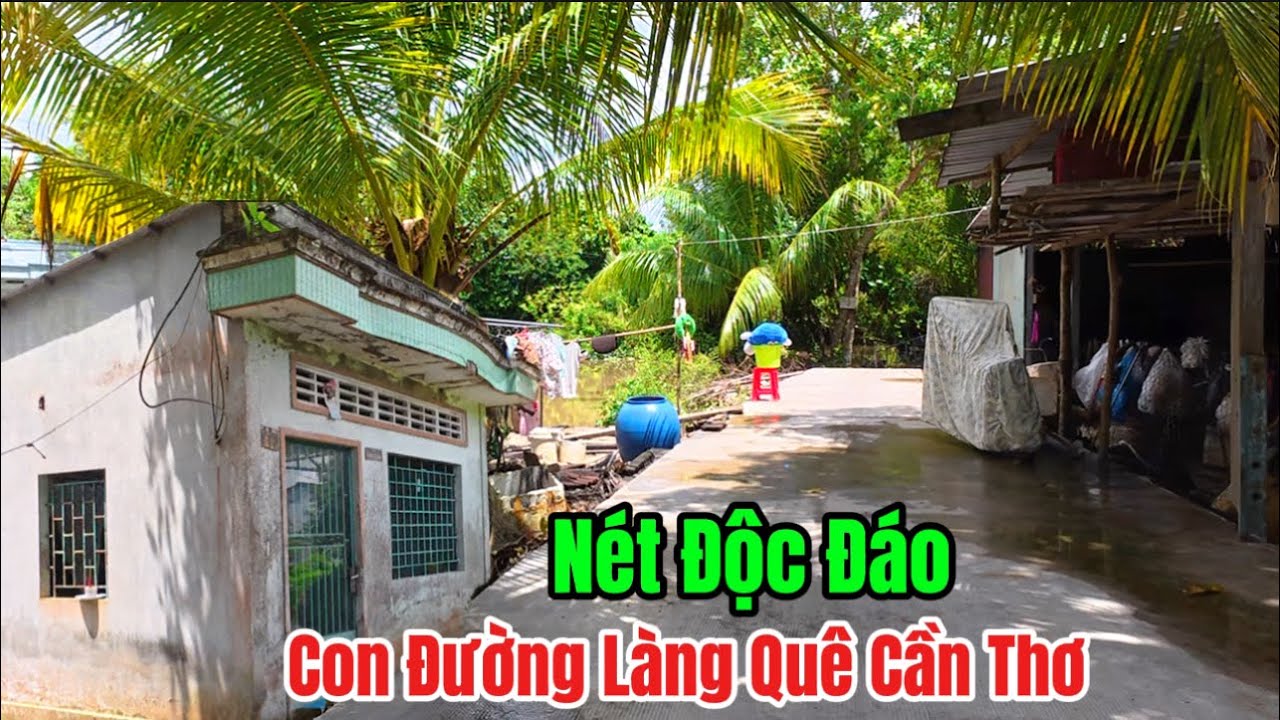 Khám Phá Con Đường Làng Quê,Bên Trong Đẹp Không Thể Tưởng❤️❤️🇻🇳