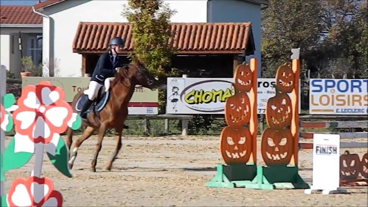 Bêtisier équestre 2015/2016
