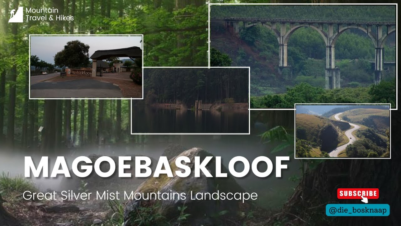 Travel: Magoebaskloof,Mountains,Limpopo -Tropical landscape of Silver misty mountains during sunrise
