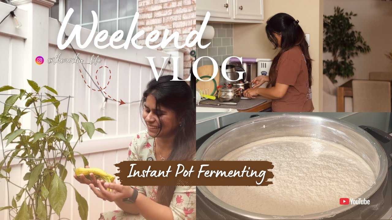 Perfect Idli Dosa Batter Secret | ஃபில்டர் காபி கதைகள் ☕️ | Weekend Vlog | ‪@themocha_life‬