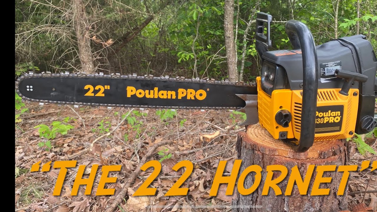 Mint Condition Poulan Pro 330 w/ a 22” B&C for the collection.
