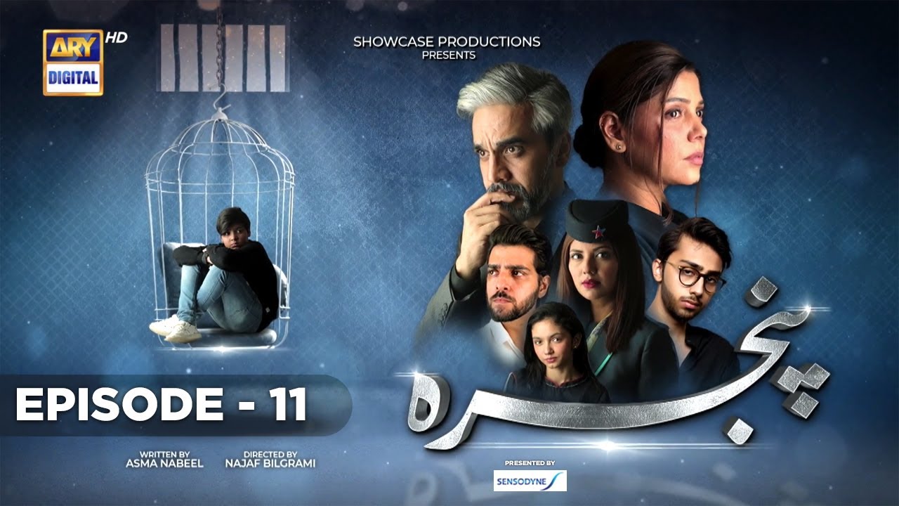 Pinjra Episode 11 - Presented by Sensodyne - 8th  December 2022  (Eng Subtitles) - ARY Digital Drama