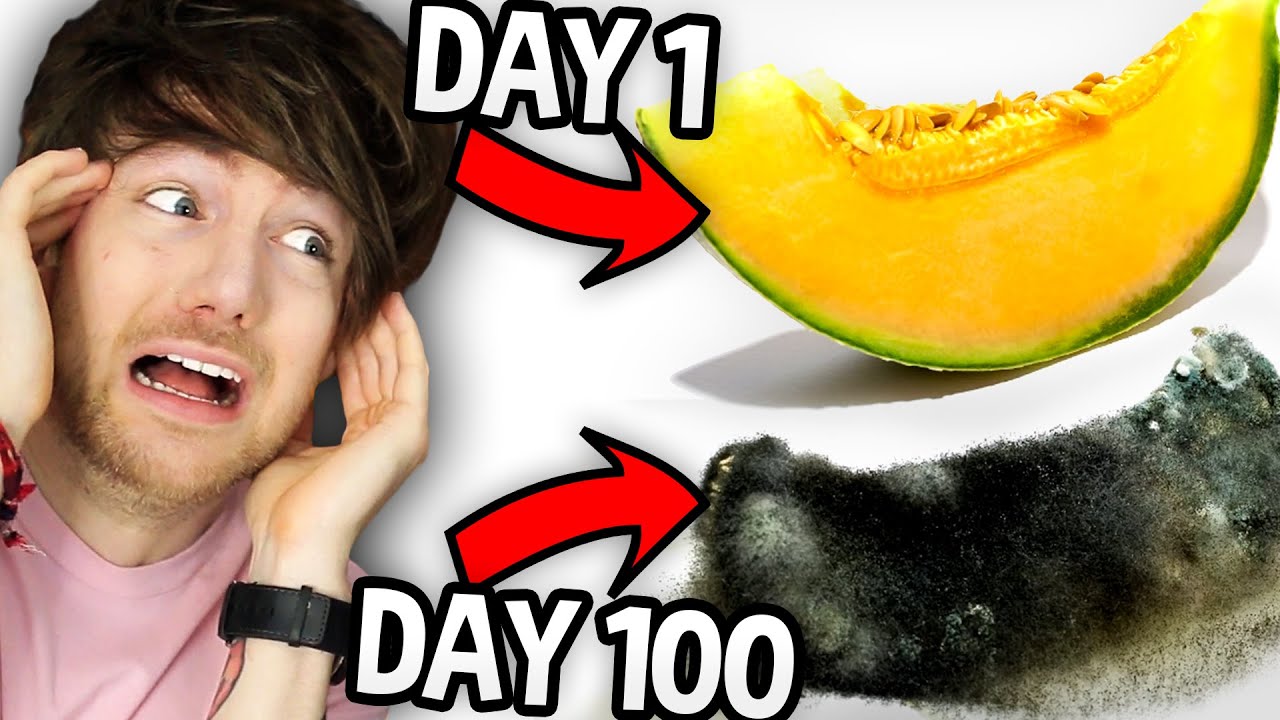 ODDLY TERRIFYING TIMELAPSE VIDEOS I REGRET WATCHING