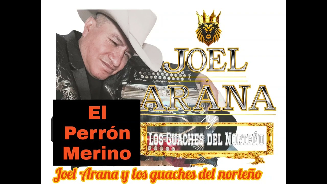 el perrón Merino.Joel Arana y los guaches del norteño.. comp  : d.a.r.  derechos de autor reservado