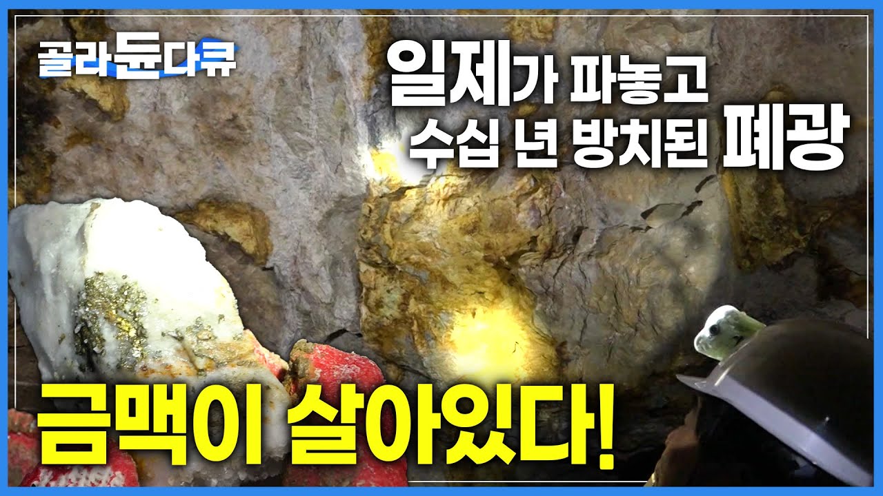 채굴 끝난 줄 알고 무너진 채 방치된 폐광 아래 손도 대지 않은 황금 발견! 금광으로 효용가치는?ㅣ황금빛 꿈을 캐다! 금광 갱도 보수 작업 현장ㅣ극한직업ㅣ#골라듄다큐