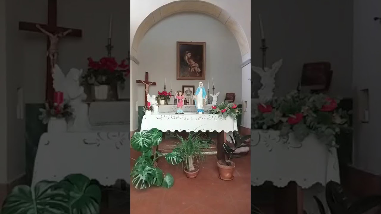 21 dicembre 2025- Coroncina e Coronella nella DV- Gesù Bambino prega per noi 