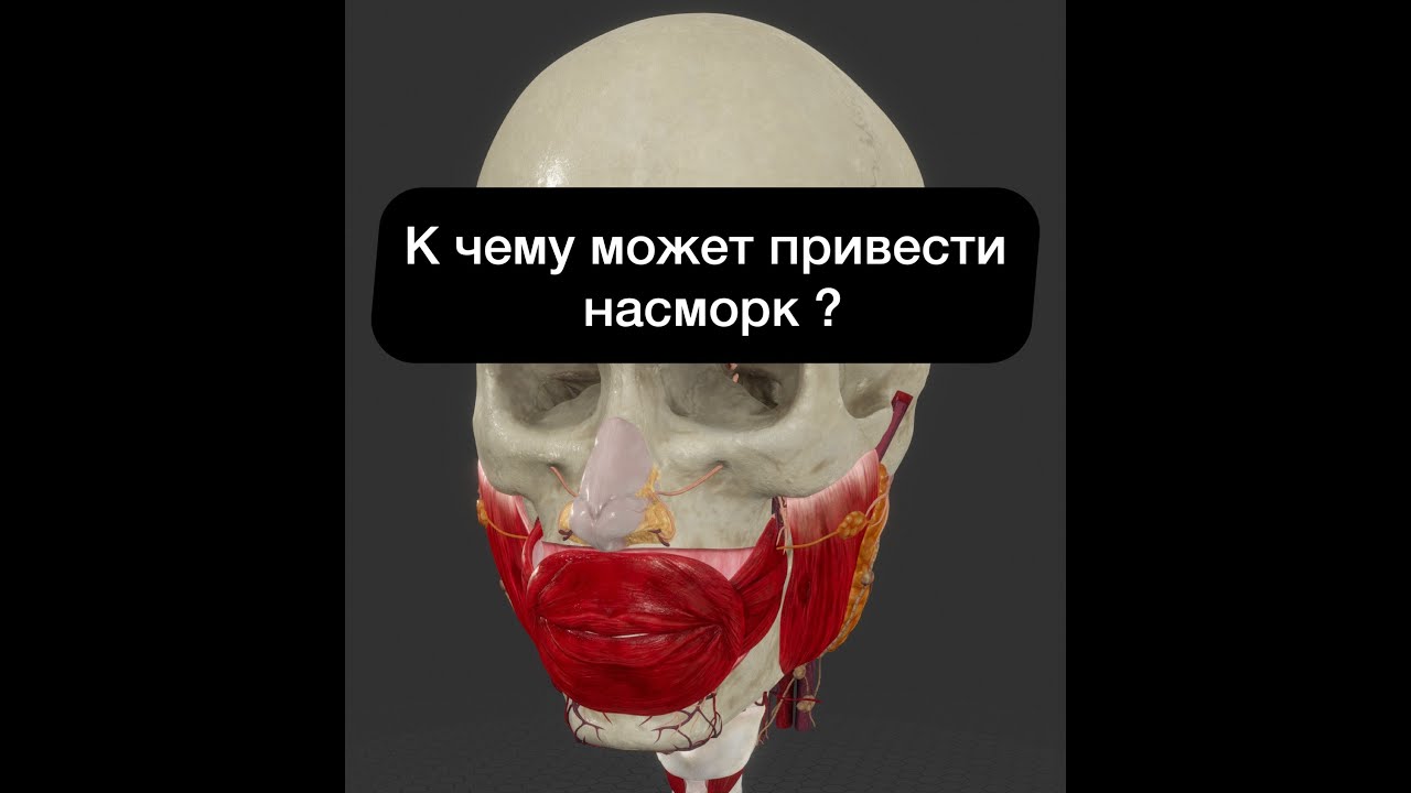 Что такое Гайморит? Пазухи носа в VR