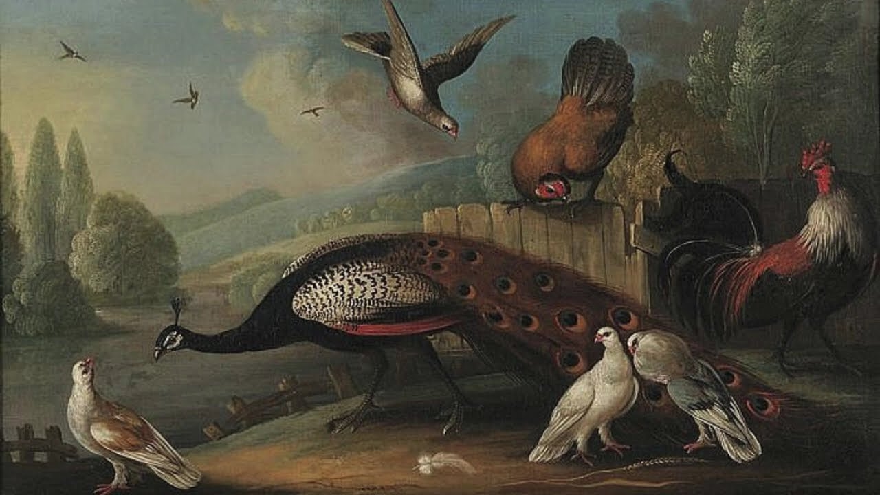 Bach   Oboe Concerto in F major BWV 1053r