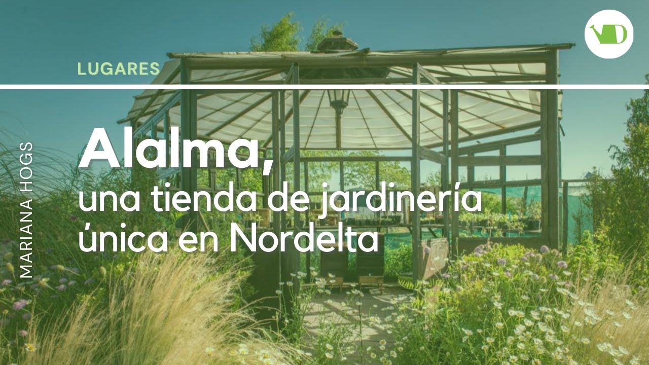 Alalma, conoce este lugar único en Nordelata