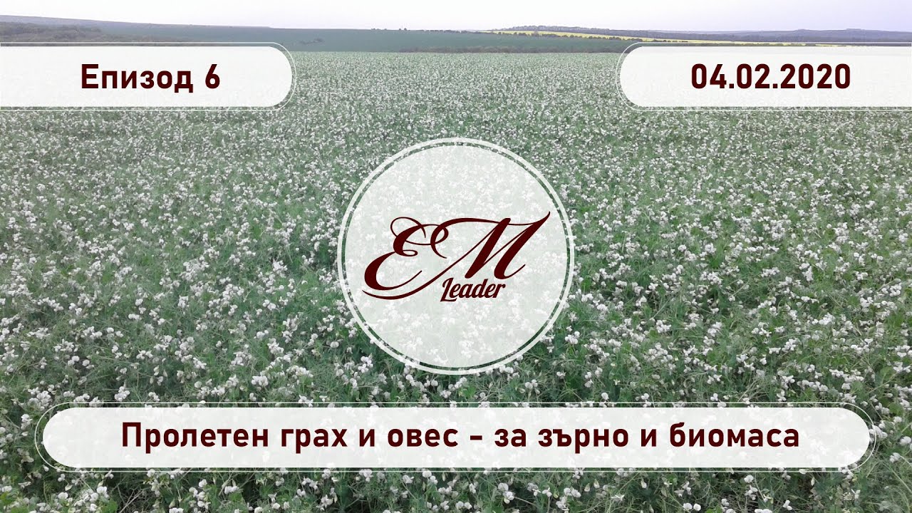 Лидер Консултинг ЕООД, еп. 6 - пролетен грах и овес