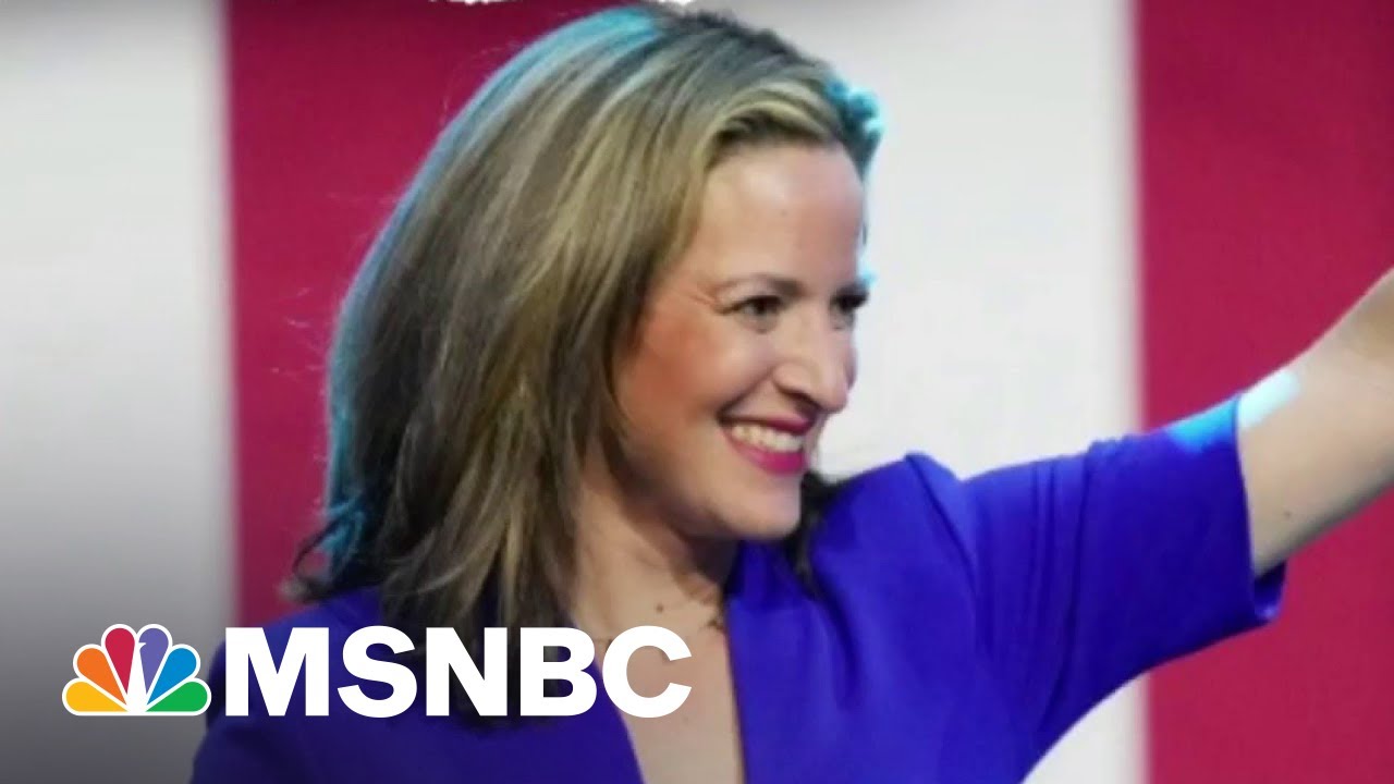Blue Wave Sweeps Through Michigan | The Mehdi Hasan Show