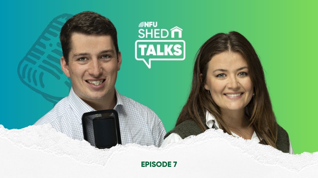 Shed Talks Episode 7