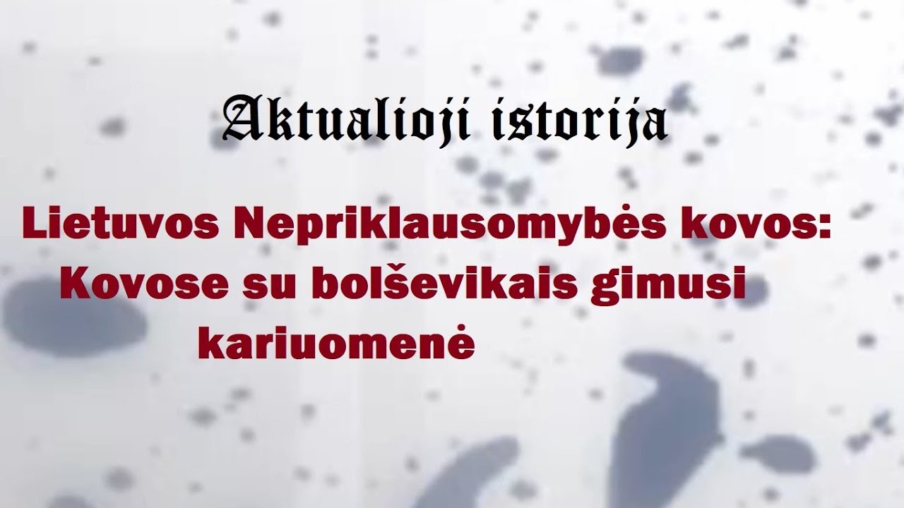 „Aktualioji istorija“ (78): Lietuvos Nepriklausomybės kovos: kovose su bolševikais gimusi kariuomenė