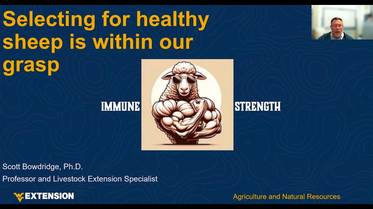 Selecting for Healthy Sheep is within our Grasp
