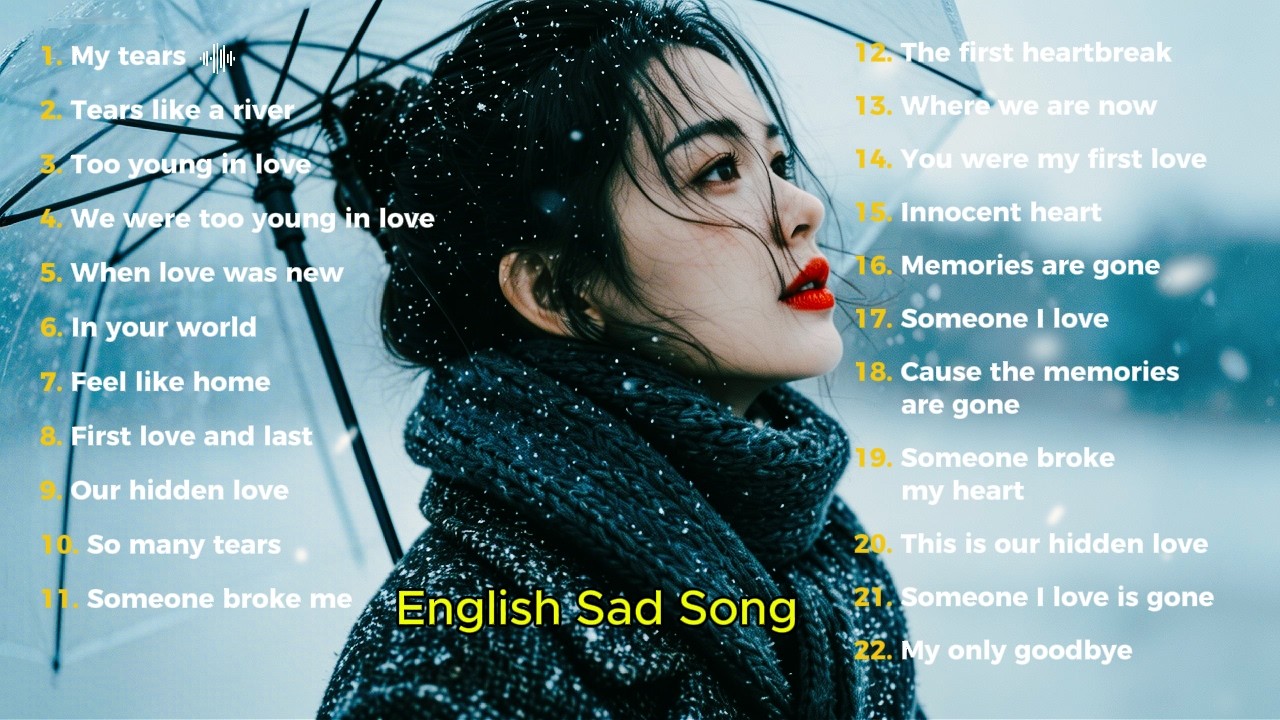 Heartbroken Love Songs - NiexEchoes || New English Relaxing Music & Top Trending TikTok Song