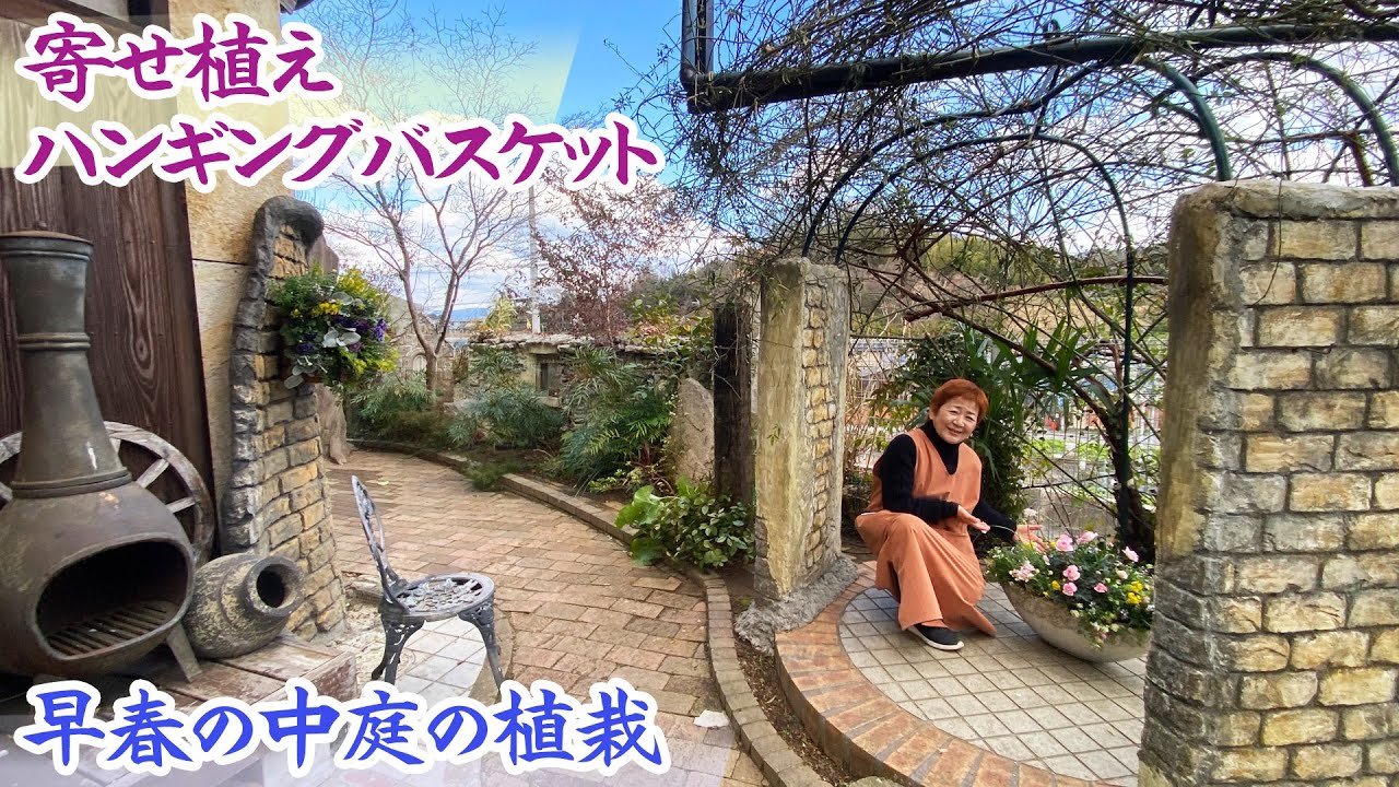 【自宅の中庭の様子】早春の植物の姿と壁面に飾るハンギングバスケット【園芸】【ガーデニング】