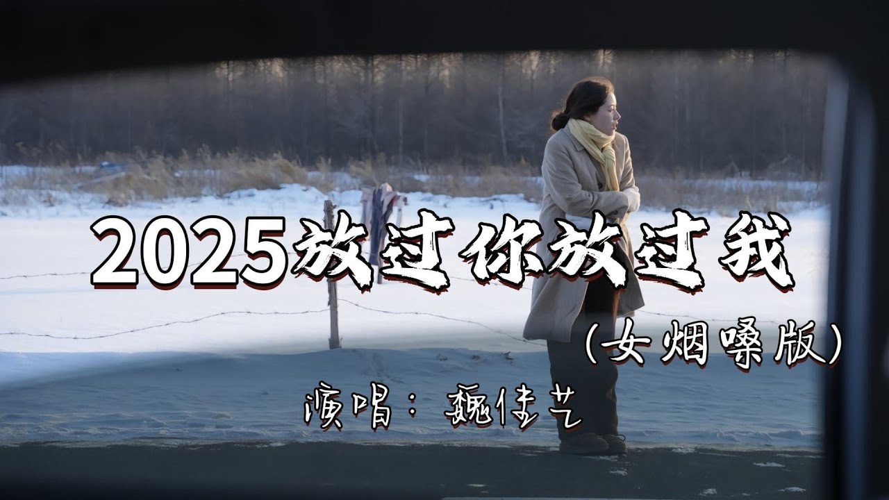 魏佳艺 - 2025放过你放过我（女烟嗓版）『如果爱你让我弄丢了自己，如果想你让我忍不住哭泣，那我只能用离开放过自己。』『动态歌词MV』